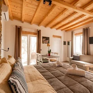 Honey Bee House Apartment